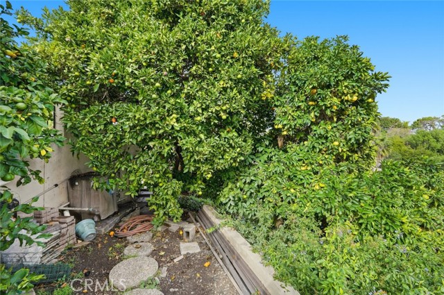 MLS #SB25264498 image #25