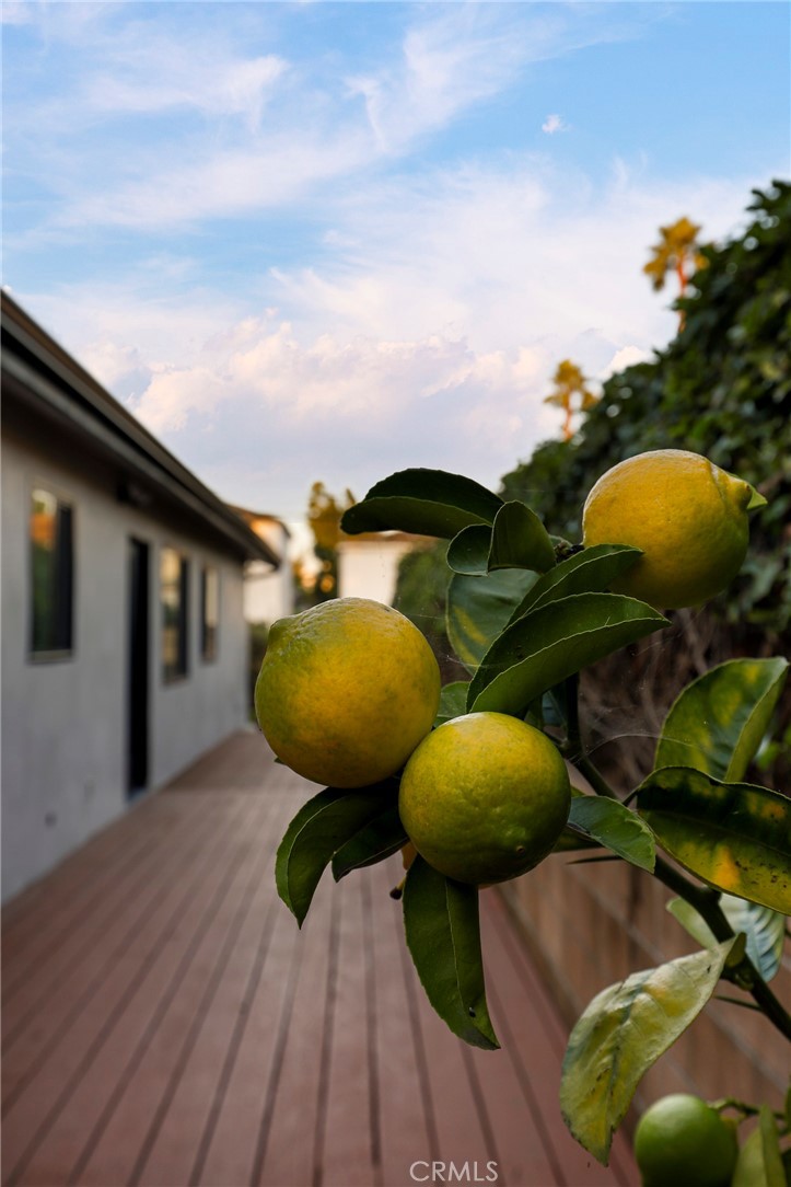 MLS #SB25265887 image #31