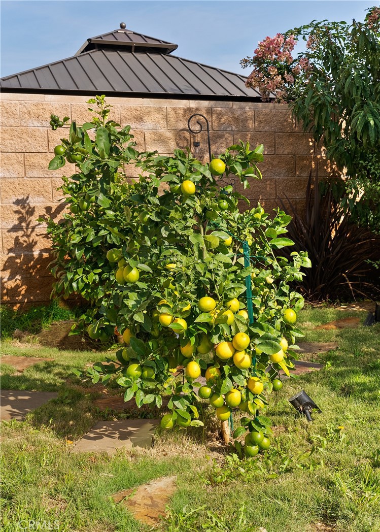 MLS #SB25266396 image #38