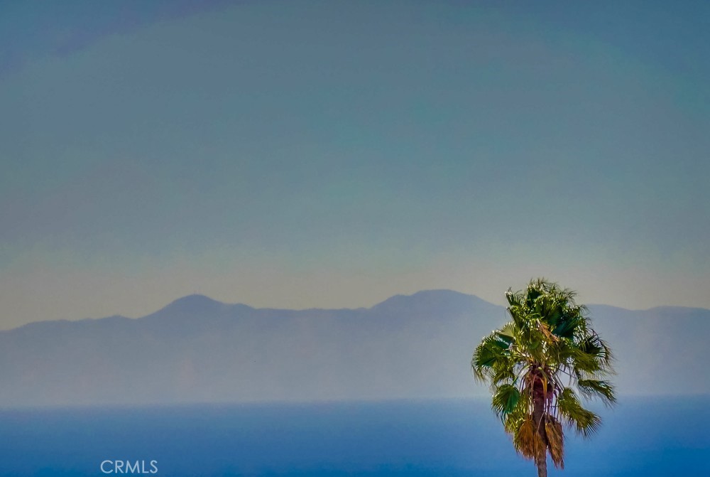 MLS #SB25267167 image #10