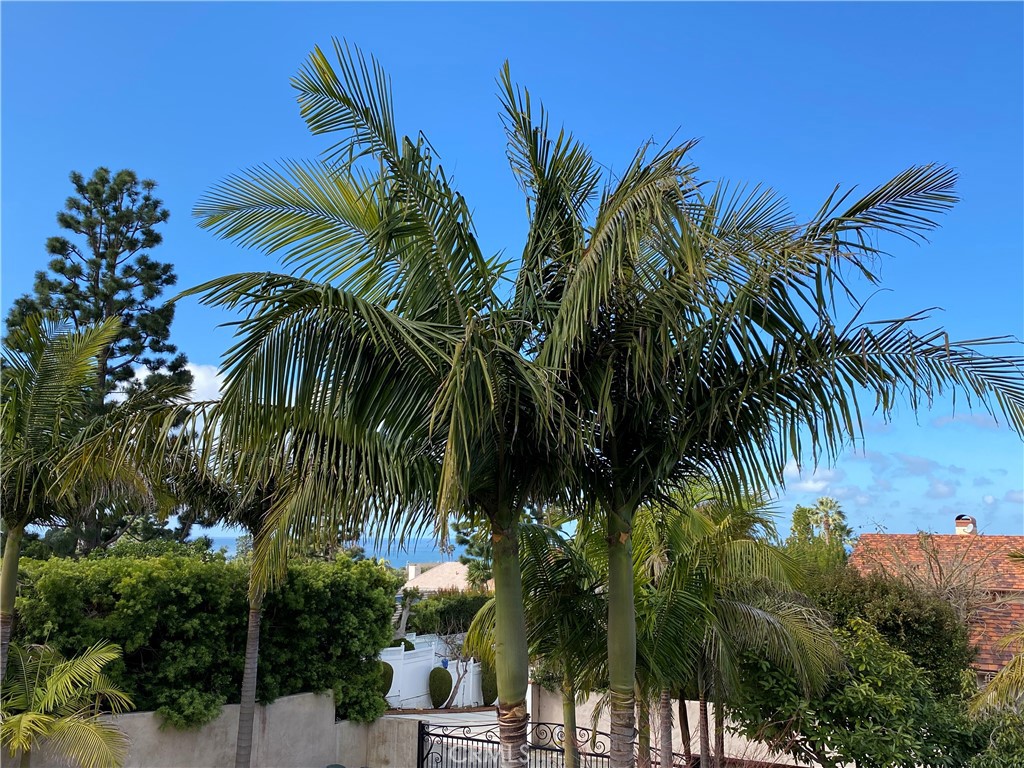 MLS #SB25267531 image #3