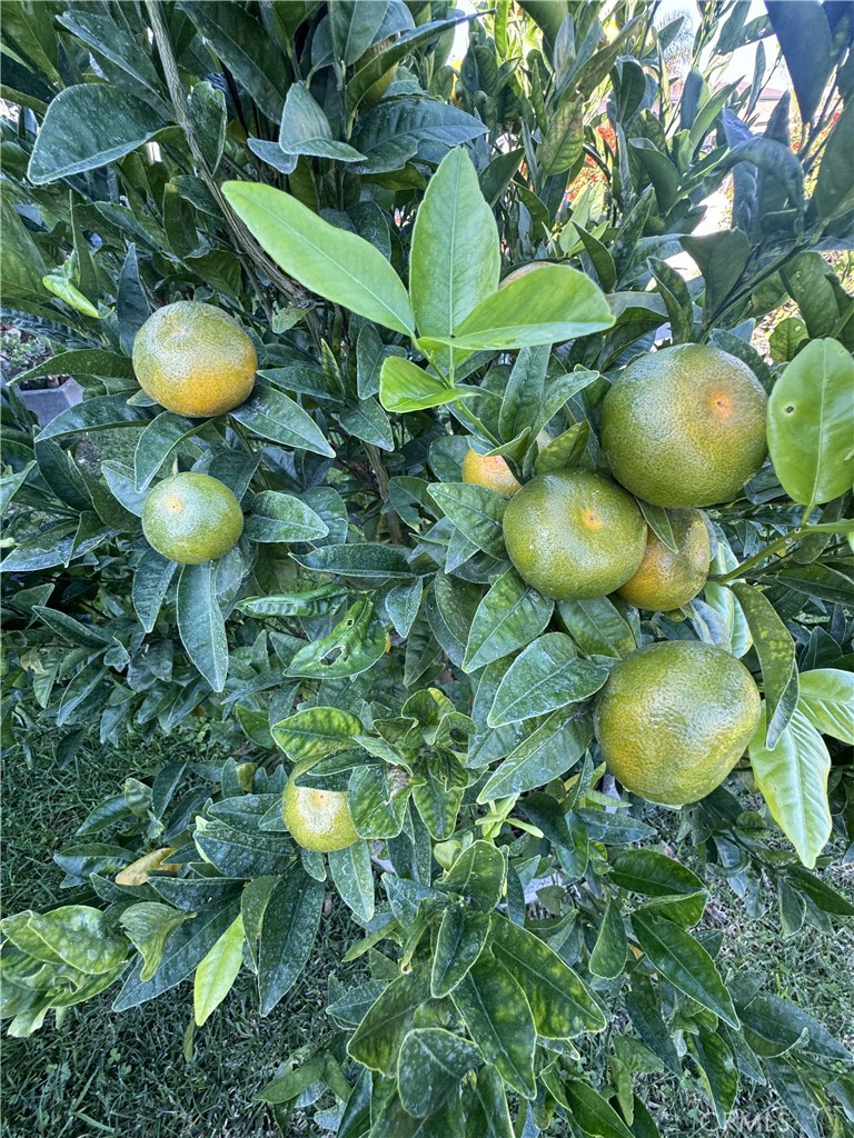 MLS #SB25269991 image #12