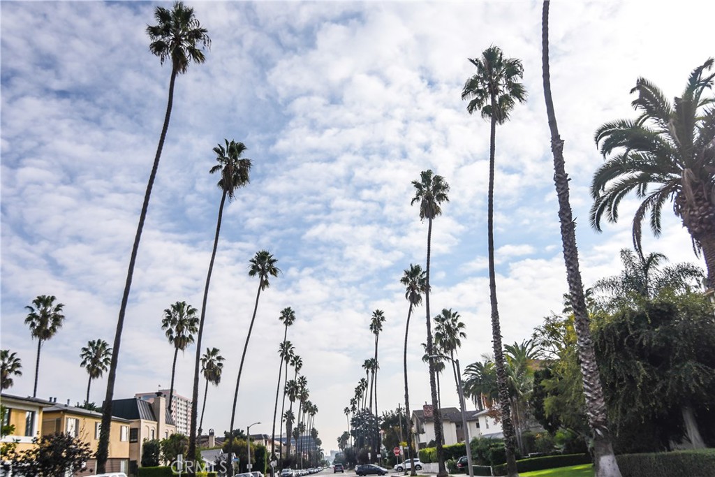 MLS #SB25270250 image #29