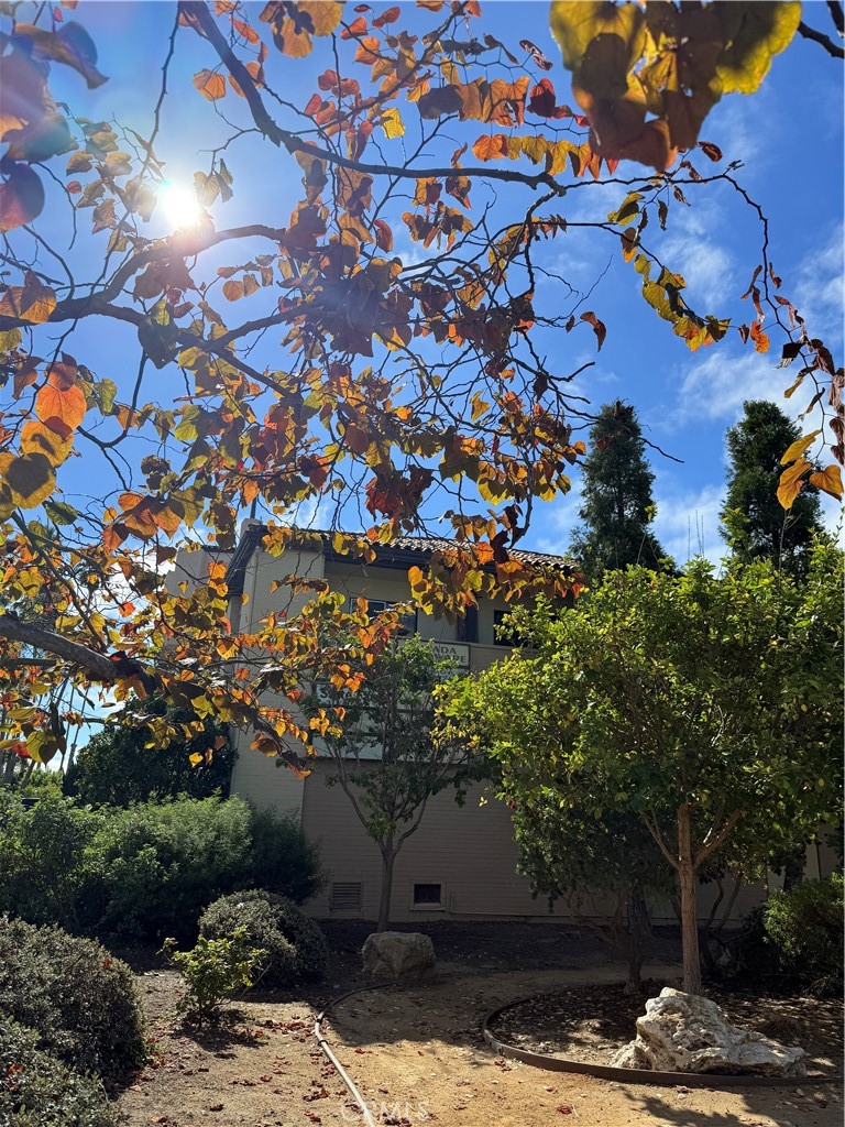 MLS #SB25271040 image #16