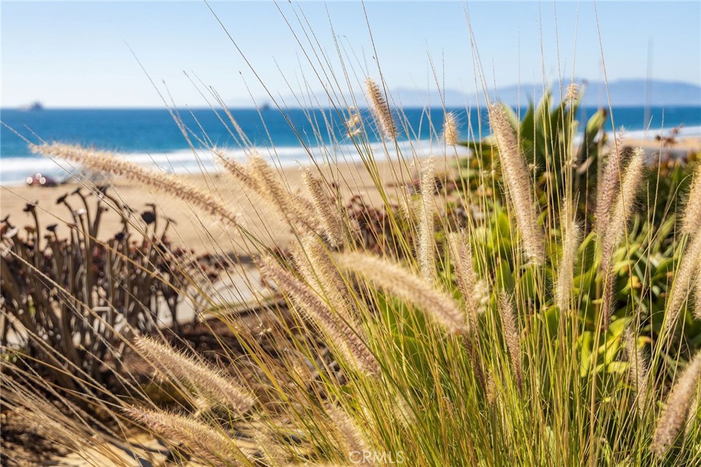 MLS #SB25271185 image #64