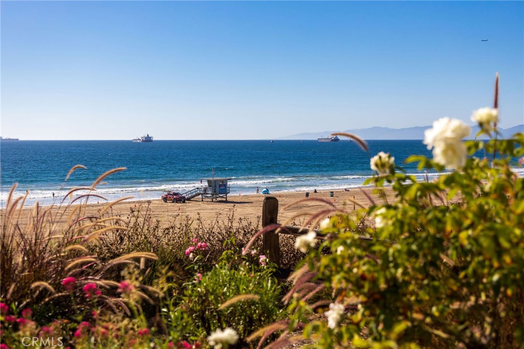 MLS #SB25271185 image #65