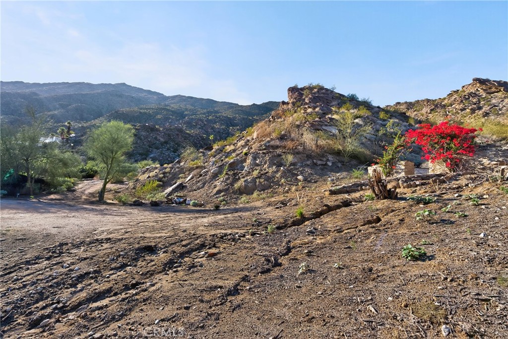 MLS #SB25274750 image #8