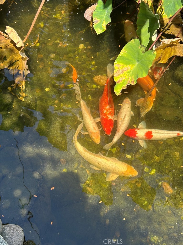 MLS #SB25278289 image #11