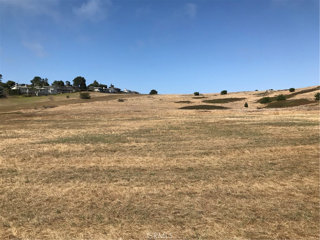 MLS #SC20140394 image #13