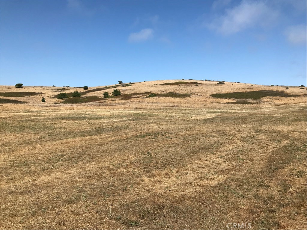 MLS #SC20140394 image #14