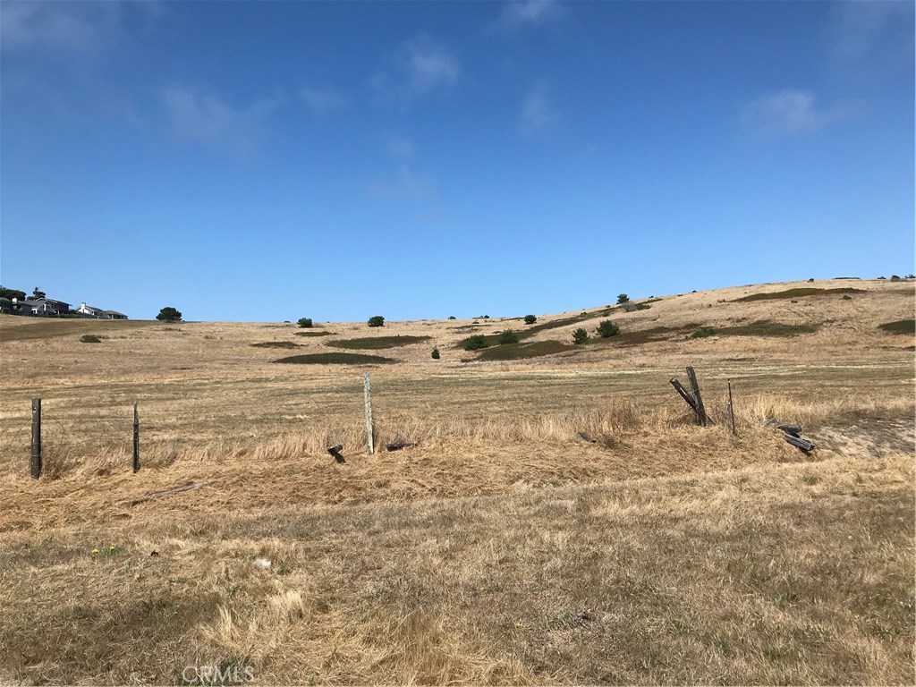 MLS #SC20140394 image #5