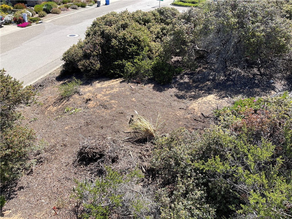 MLS #SC22107333 image #22