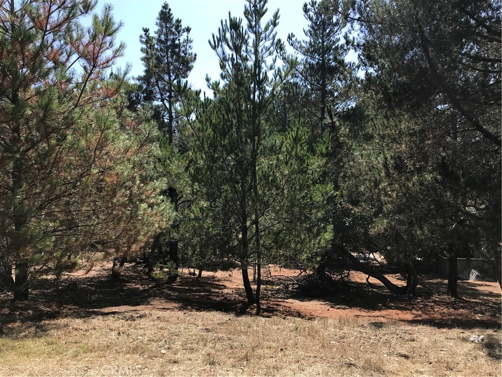 MLS #SC22204783 image #5