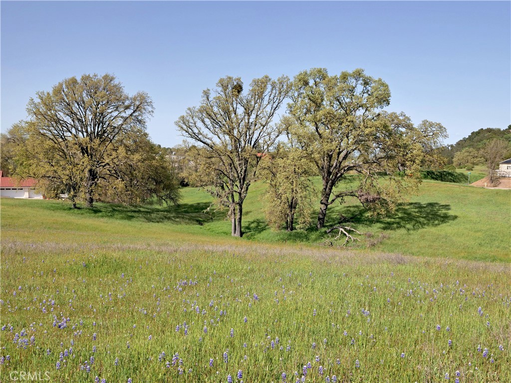 MLS #SC23116623 image #6