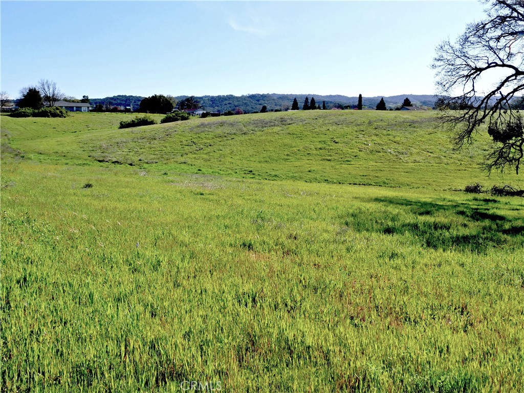 MLS #SC23116623 image #8