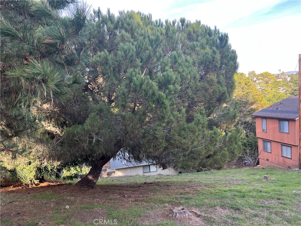 MLS #SC23226273 image #5