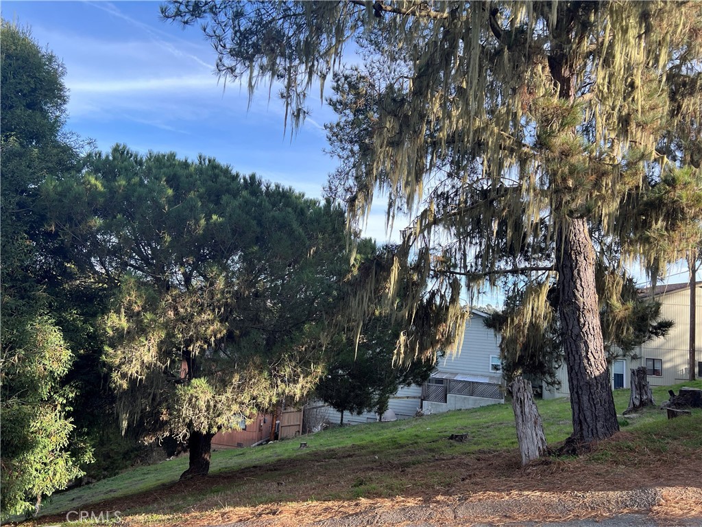 MLS #SC23226273 image #9