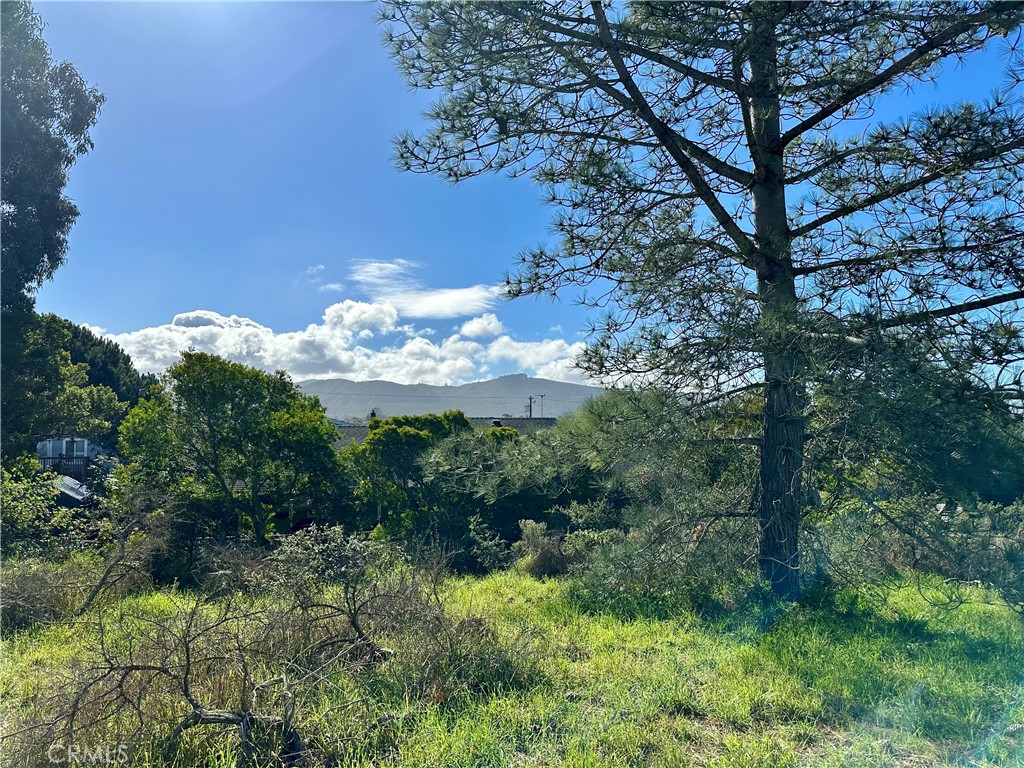 MLS #SC24009822 image #2