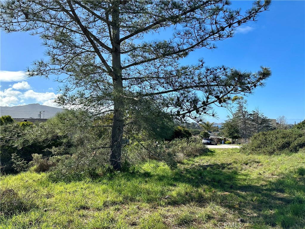 MLS #SC24009822 image #3