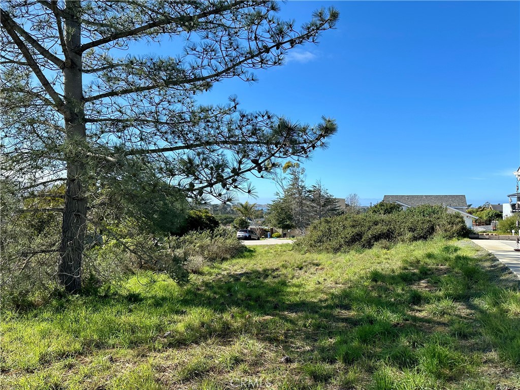 MLS #SC24009822 image #4