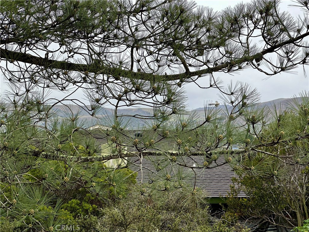 MLS #SC24009822 image #5