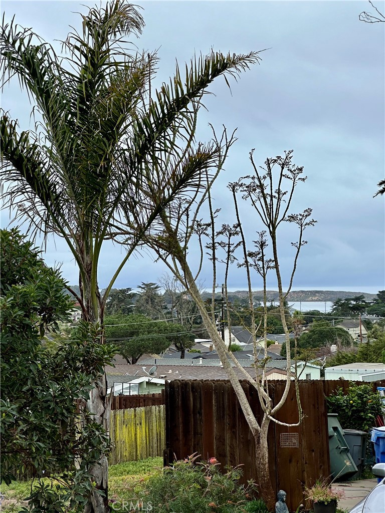 MLS #SC24009822 image #6