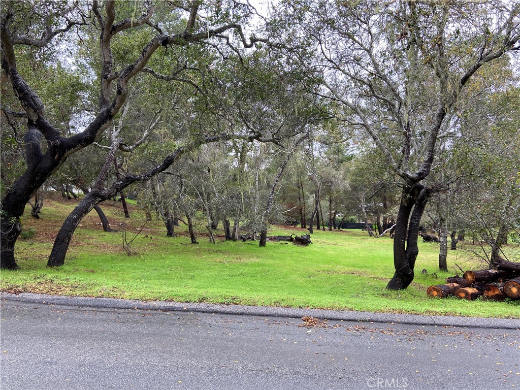 MLS #SC24012358 image #1