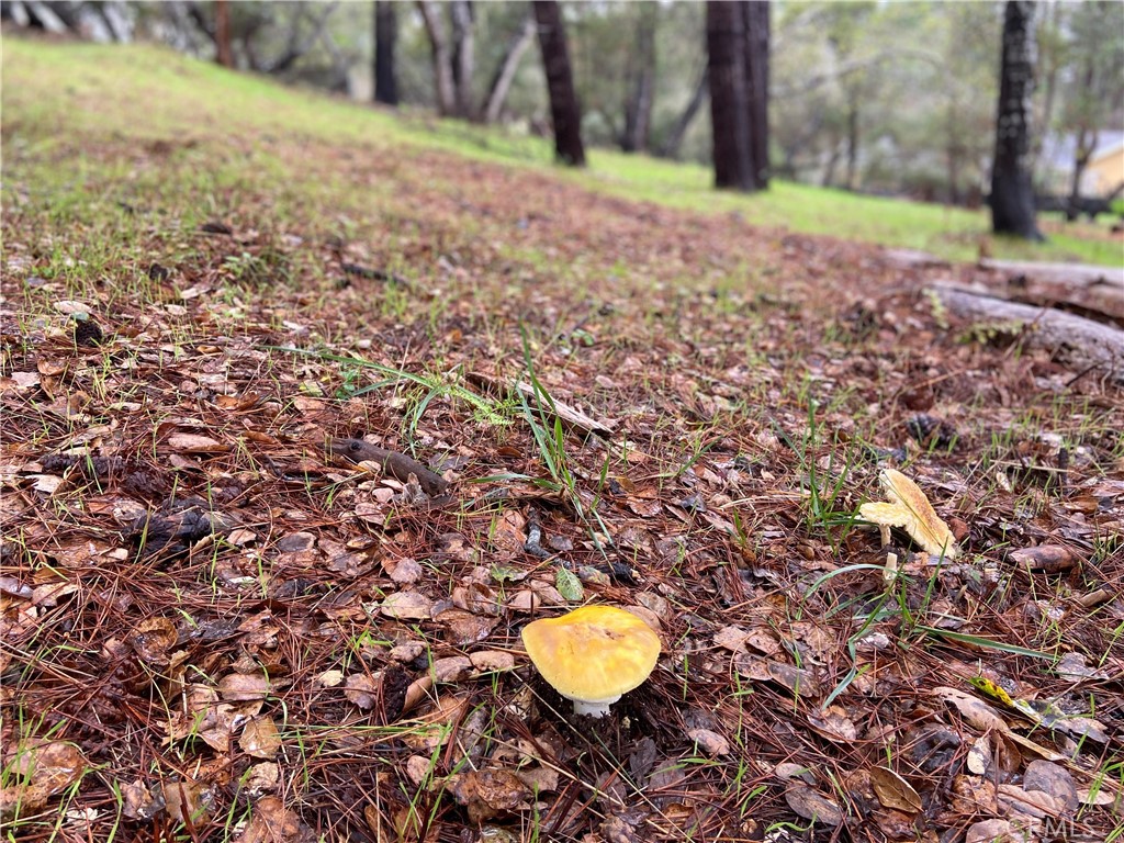 MLS #SC24012358 image #10