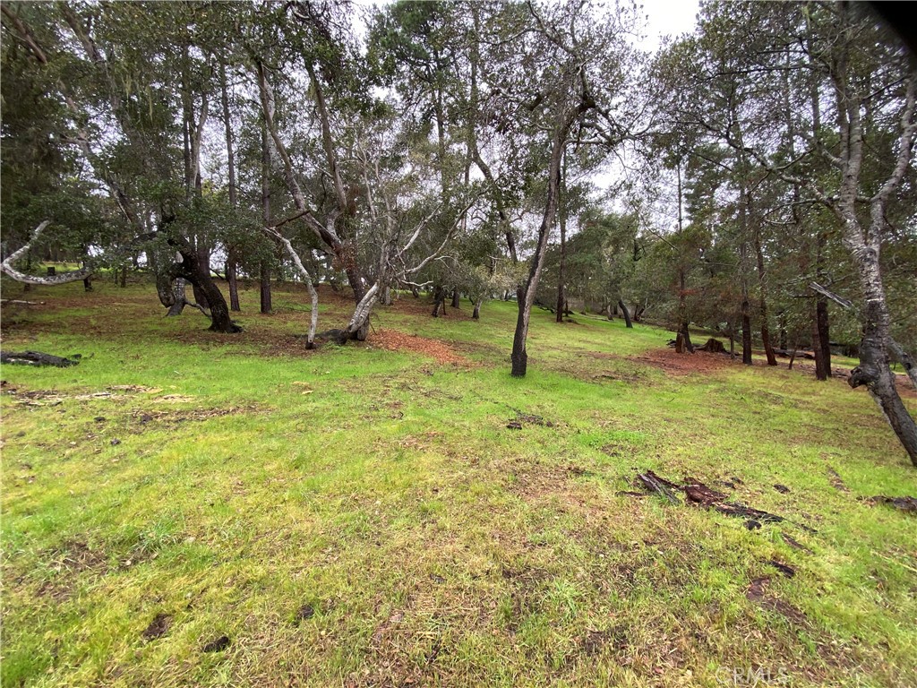 MLS #SC24012358 image #13