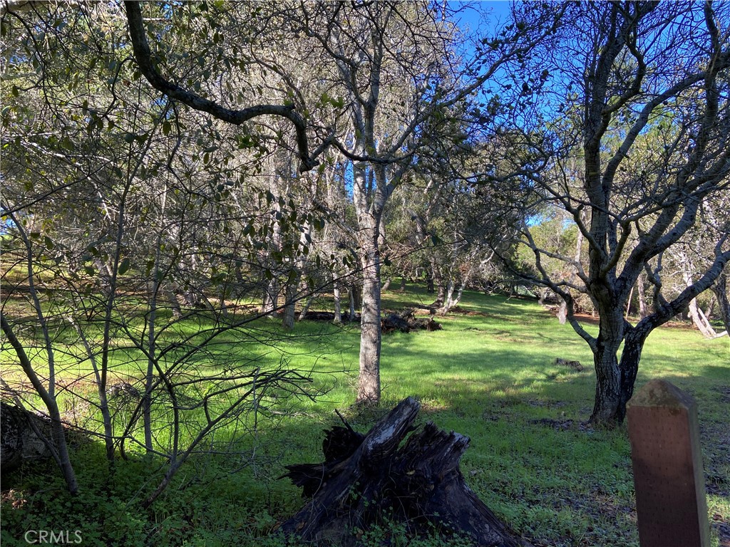 MLS #SC24012358 image #16