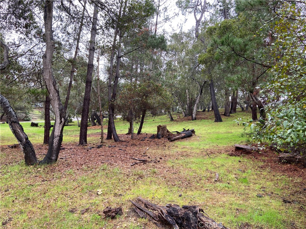 MLS #SC24012358 image #3