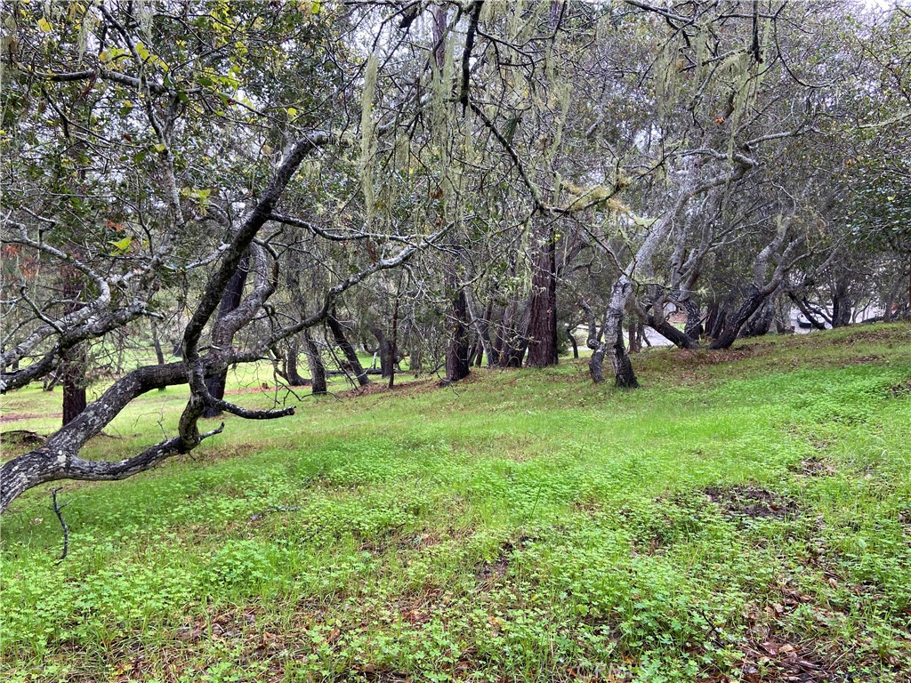 MLS #SC24012358 image #4