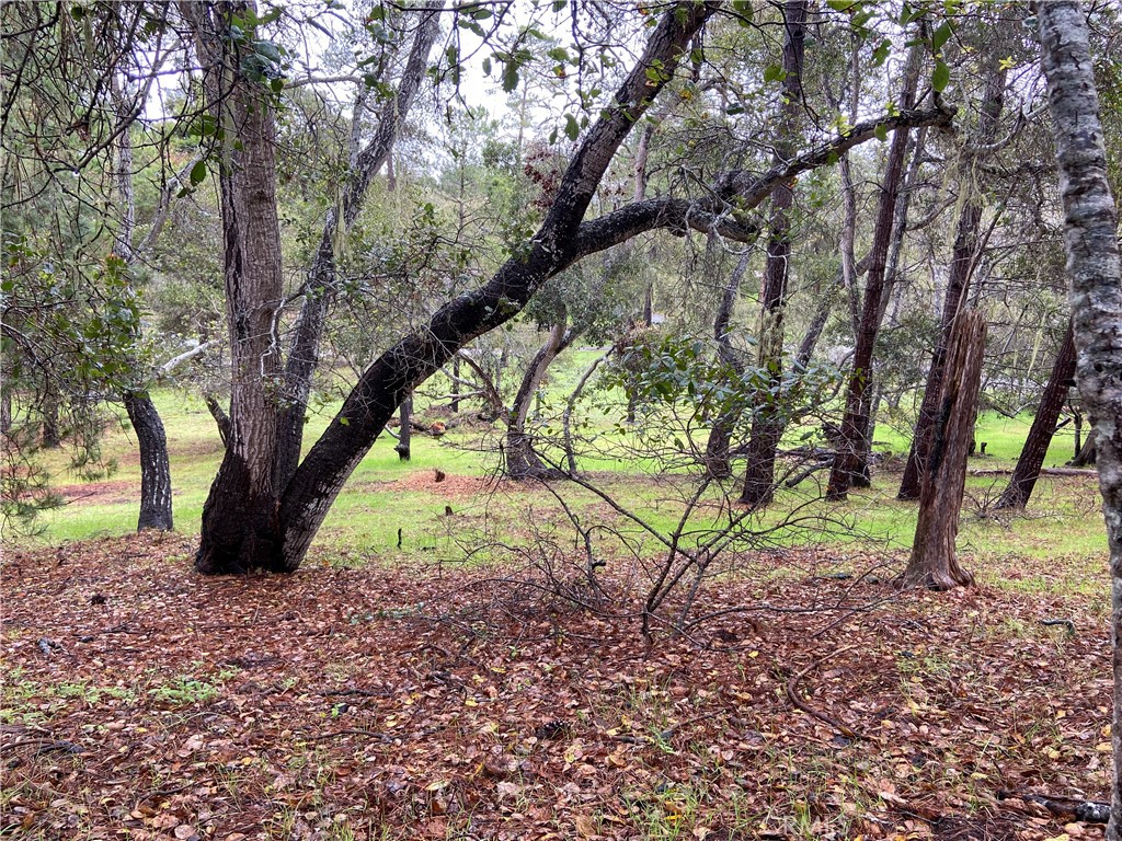 MLS #SC24012358 image #6