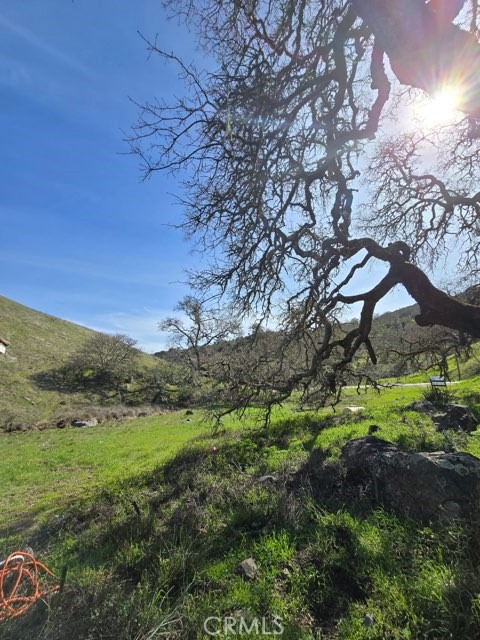 MLS #SC24199034 image #35