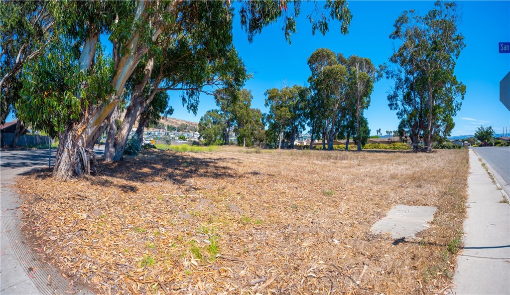 MLS #SC24229005 image #17