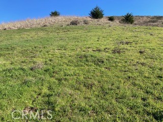 MLS #SC25001416 image #2
