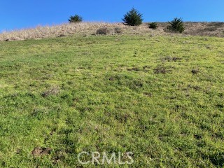 MLS #SC25001416 image #4