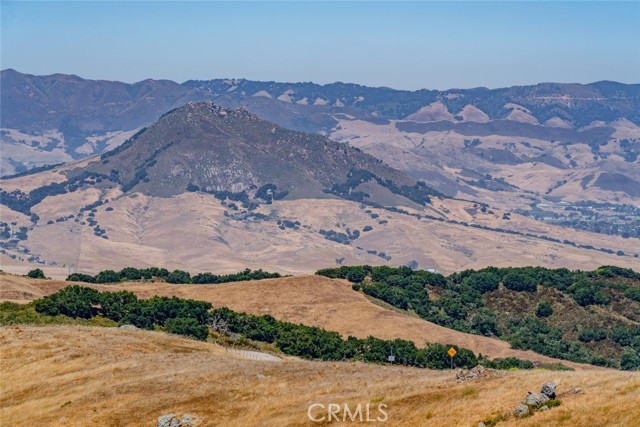 MLS #SC25009415 image #40