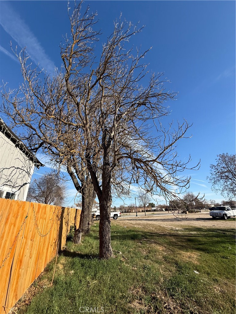 MLS #SC25018426 image #6