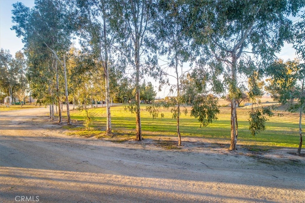 MLS #SC25038973 image #10