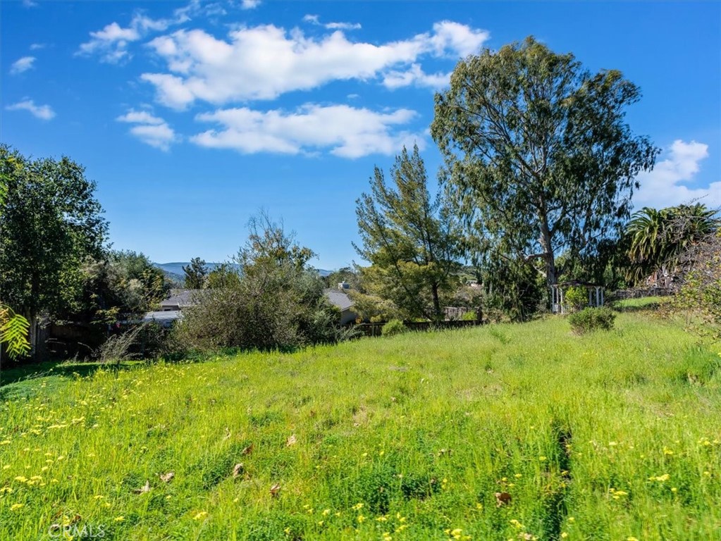 MLS #SC25043860 image #6