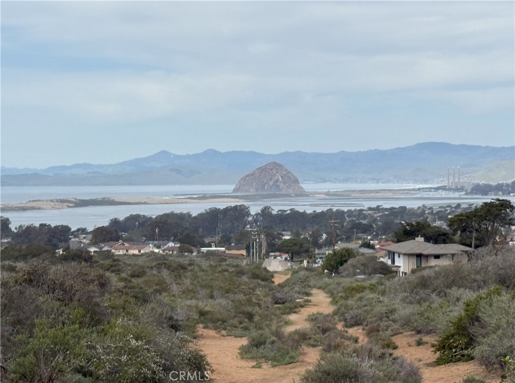 MLS #SC25052754 image #10