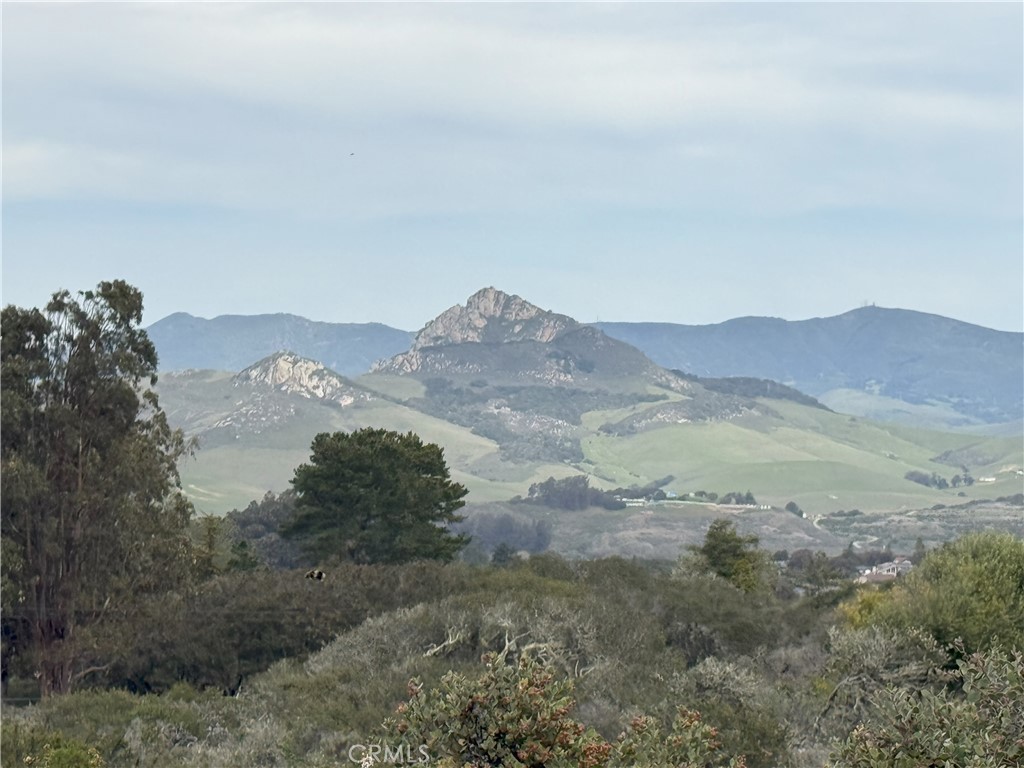 MLS #SC25052754 image #11