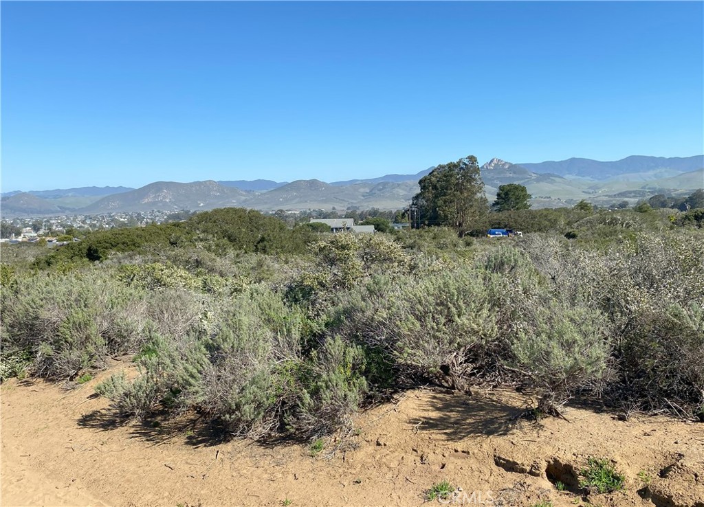 MLS #SC25052754 image #6