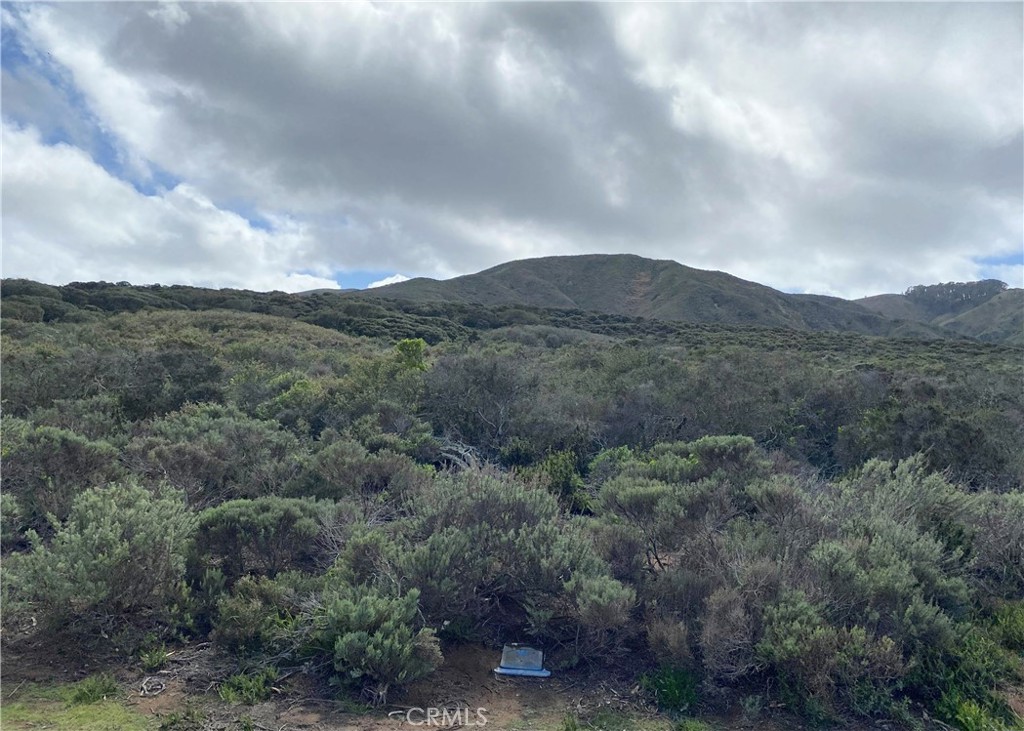 MLS #SC25052754 image #7