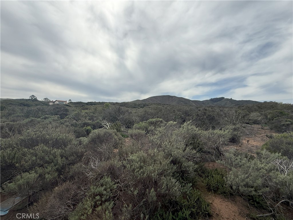 MLS #SC25052754 image #9