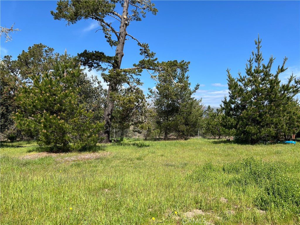 MLS #SC25053710 image #10