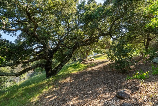 MLS #SC25053782 image #50