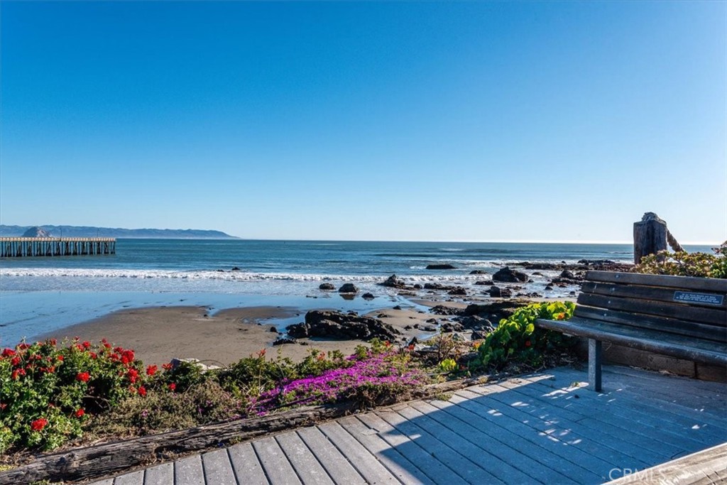 MLS #SC25058210 image #5