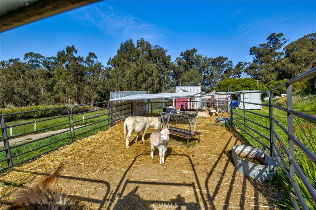 MLS #SC25063085 image #32